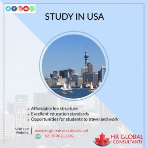 Read more about the article 