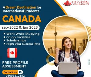 Read more about the article Contact for more details